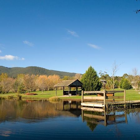 Sanctuary Park Cottages Healesville Kültér fotó