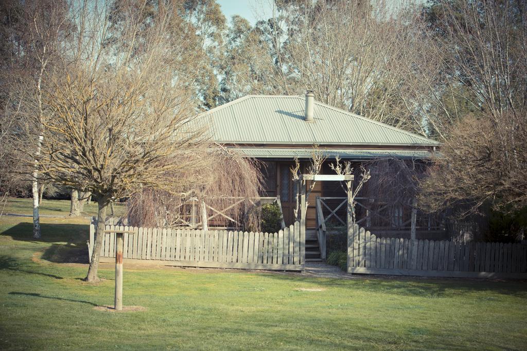 Sanctuary Park Cottages Healesville Kültér fotó