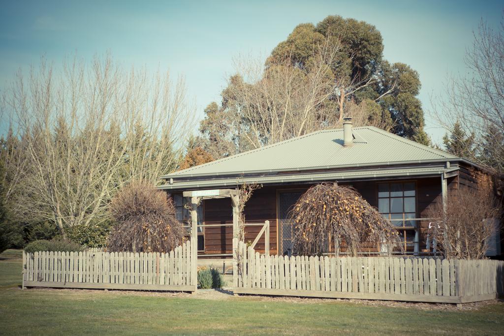 Sanctuary Park Cottages Healesville Kültér fotó