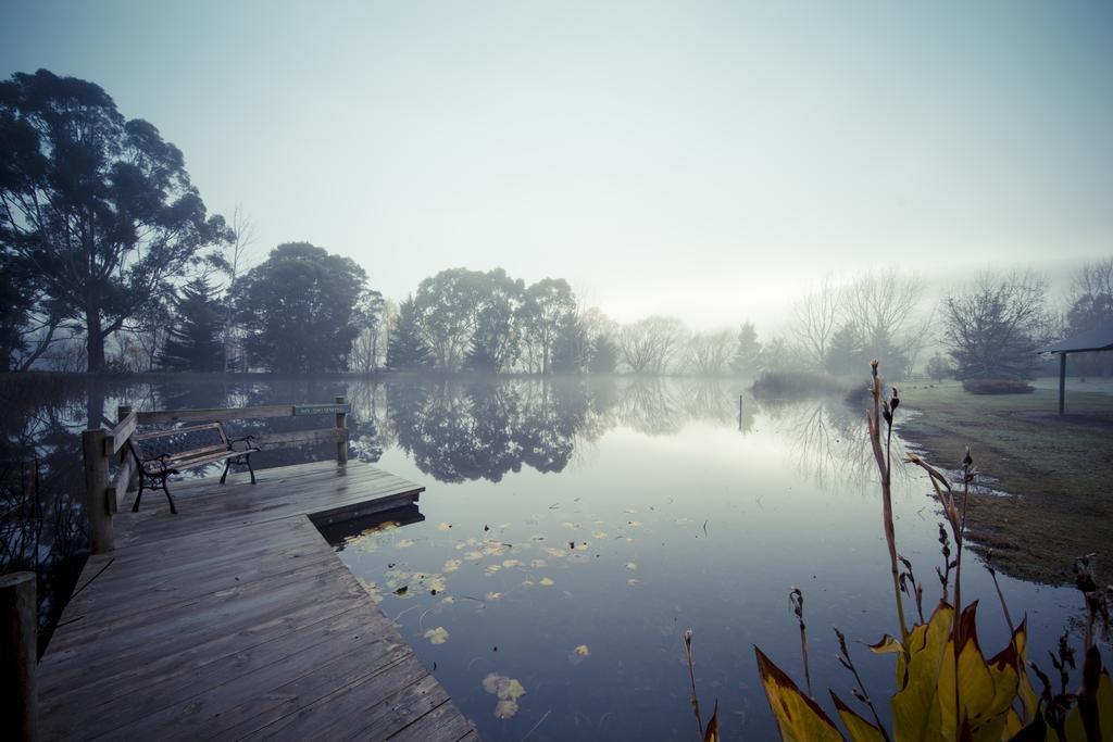 Sanctuary Park Cottages Healesville Kültér fotó