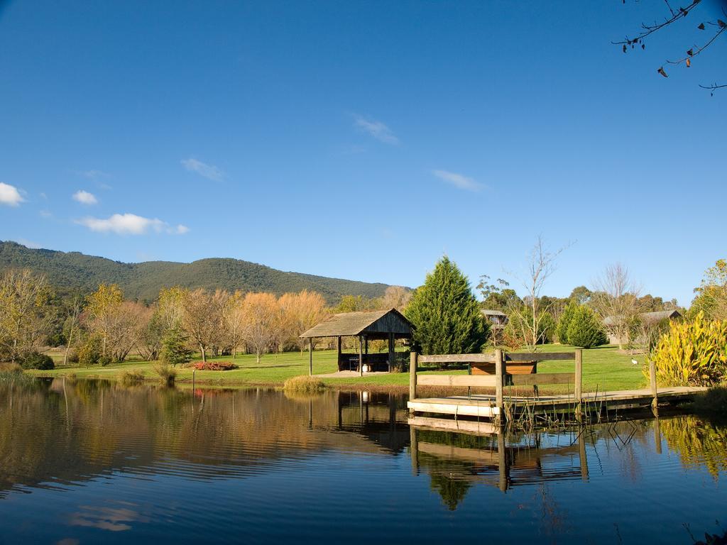 Sanctuary Park Cottages Healesville Kültér fotó