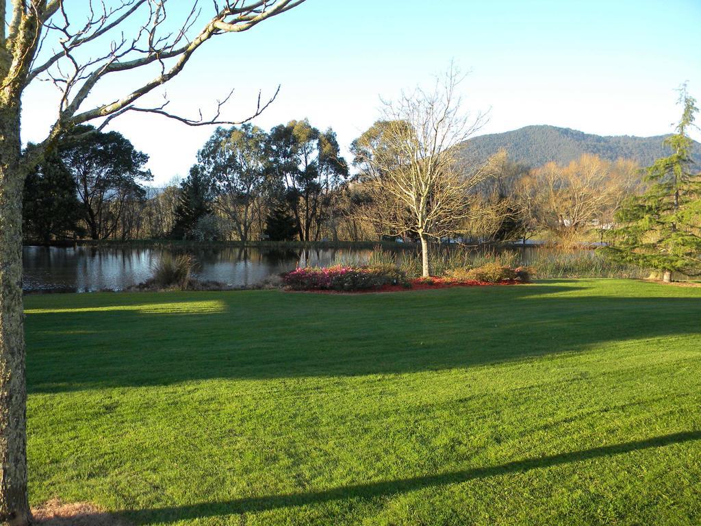 Sanctuary Park Cottages Healesville Kültér fotó